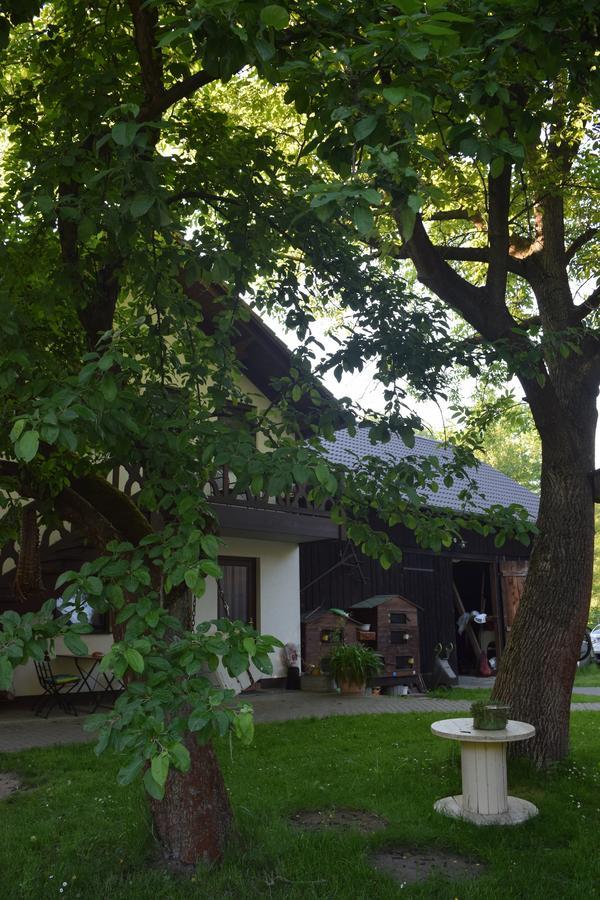 Gaestehaus Bohg بورغ المظهر الخارجي الصورة